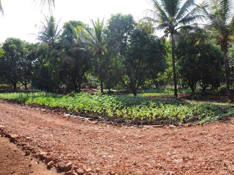 فيلا Red Roof Farmhouse Chiplūn المظهر الخارجي الصورة